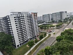 Blk 249 Compassvale Haven (Sengkang), HDB 4 Rooms #636295111